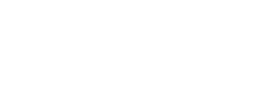 Auction Deal Doctor